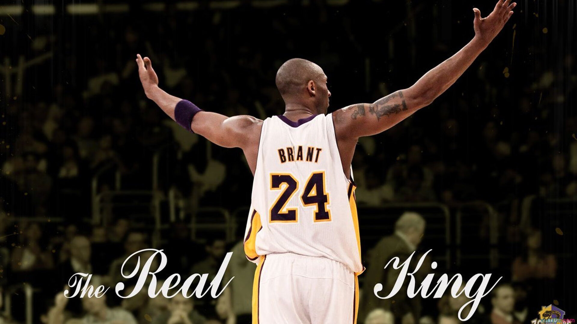 电竞赛事粉丝互动体验提升，电竞圈粉丝叫什么